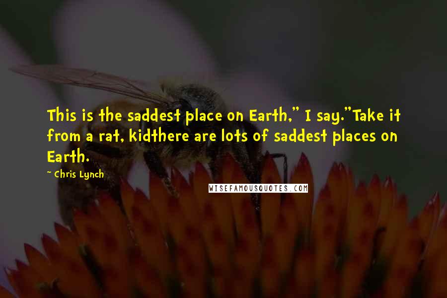 Chris Lynch Quotes: This is the saddest place on Earth," I say."Take it from a rat, kidthere are lots of saddest places on Earth.