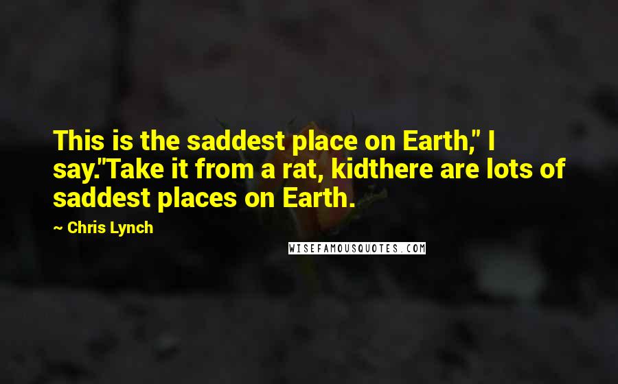 Chris Lynch Quotes: This is the saddest place on Earth," I say."Take it from a rat, kidthere are lots of saddest places on Earth.