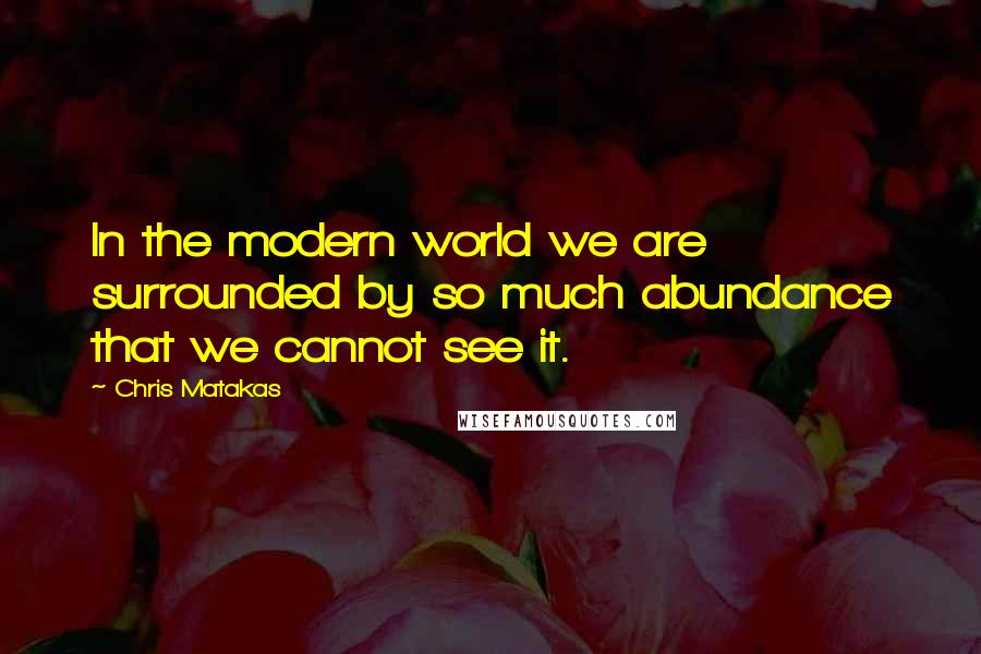 Chris Matakas Quotes: In the modern world we are surrounded by so much abundance that we cannot see it.