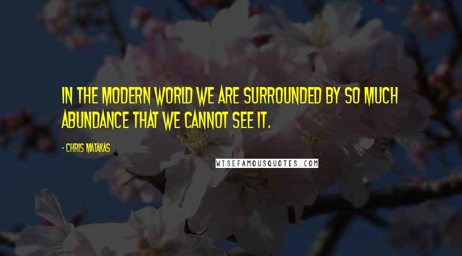 Chris Matakas Quotes: In the modern world we are surrounded by so much abundance that we cannot see it.