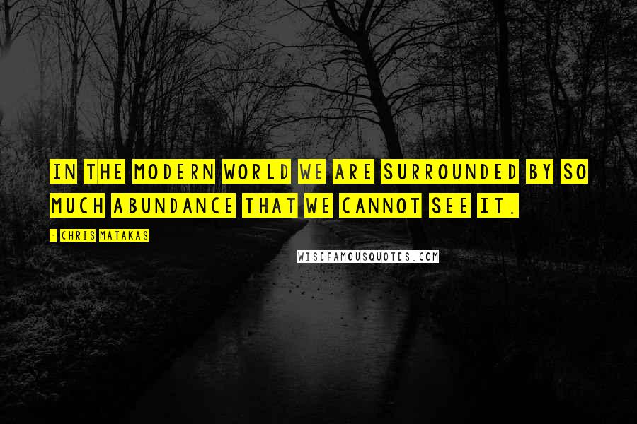 Chris Matakas Quotes: In the modern world we are surrounded by so much abundance that we cannot see it.