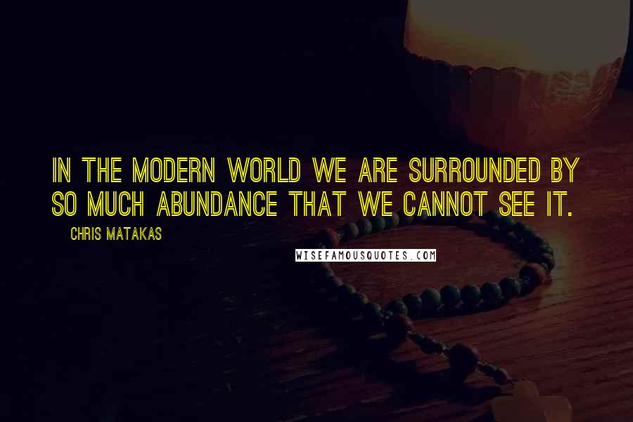 Chris Matakas Quotes: In the modern world we are surrounded by so much abundance that we cannot see it.