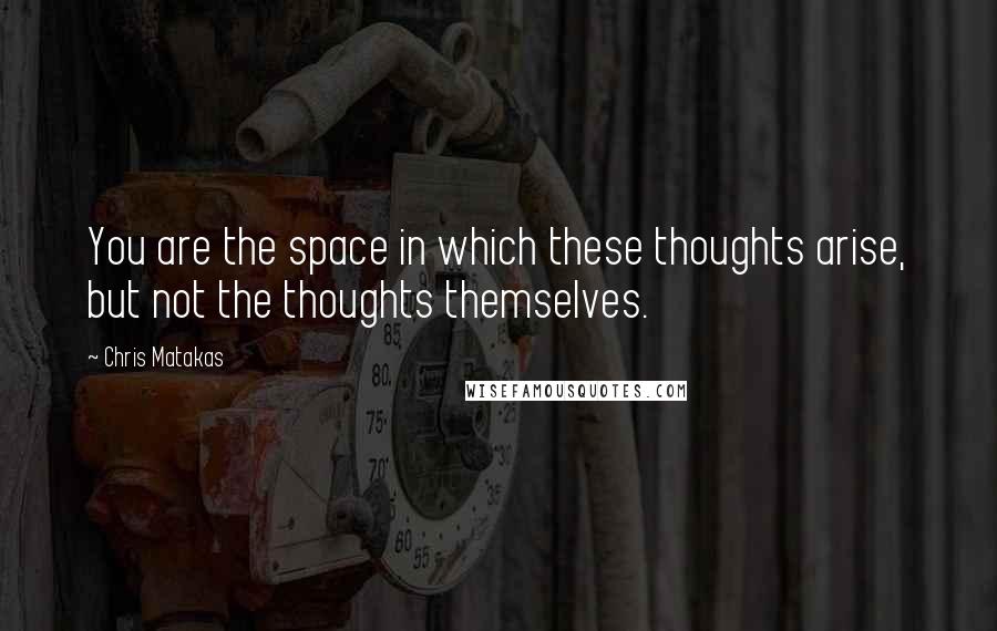 Chris Matakas Quotes: You are the space in which these thoughts arise, but not the thoughts themselves.