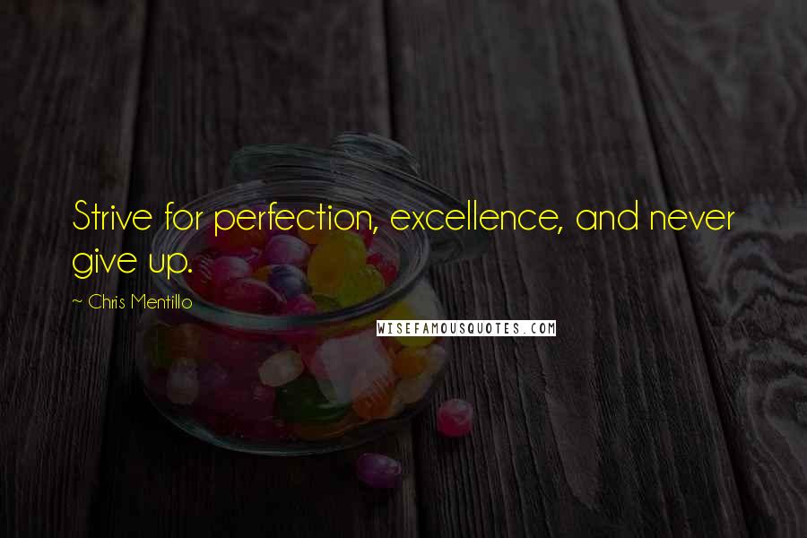 Chris Mentillo Quotes: Strive for perfection, excellence, and never give up.
