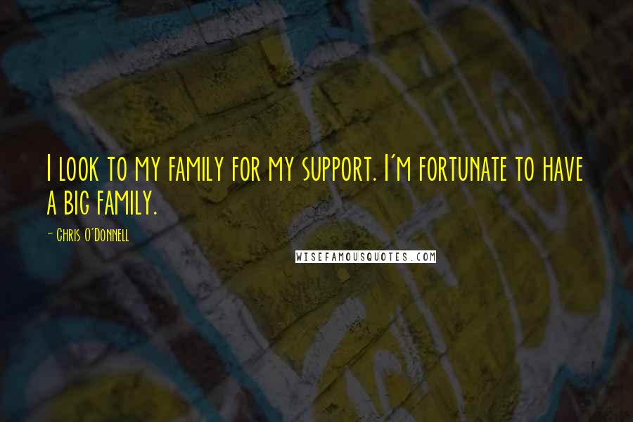 Chris O'Donnell Quotes: I look to my family for my support. I'm fortunate to have a big family.