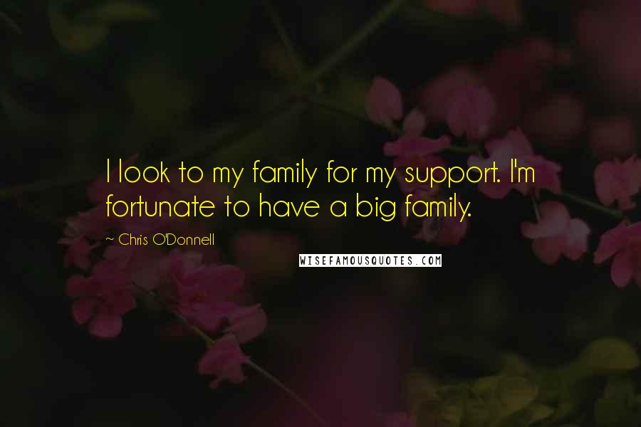 Chris O'Donnell Quotes: I look to my family for my support. I'm fortunate to have a big family.
