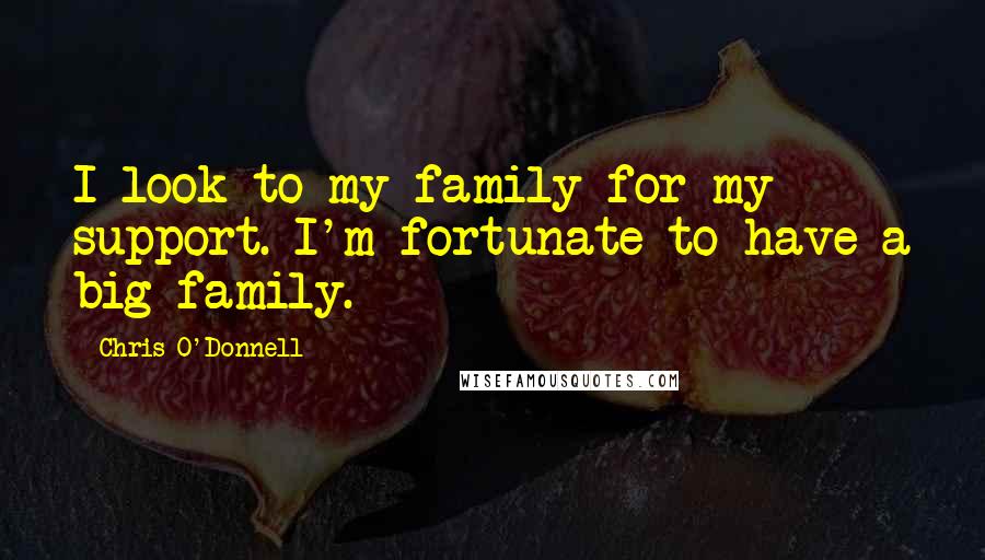 Chris O'Donnell Quotes: I look to my family for my support. I'm fortunate to have a big family.