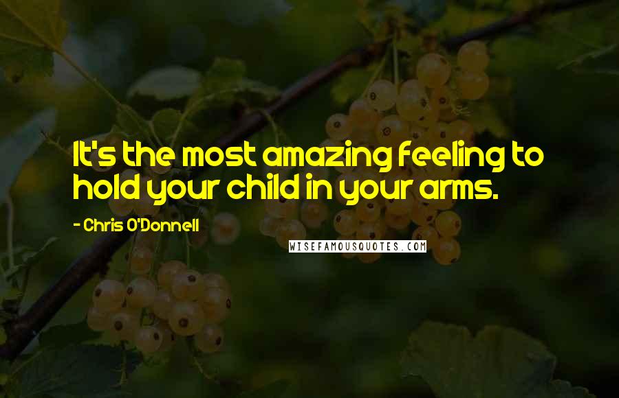 Chris O'Donnell Quotes: It's the most amazing feeling to hold your child in your arms.