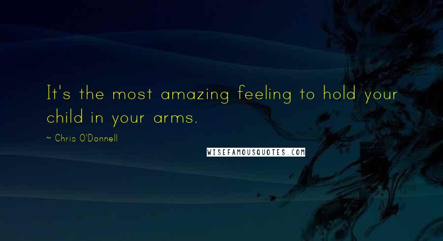 Chris O'Donnell Quotes: It's the most amazing feeling to hold your child in your arms.
