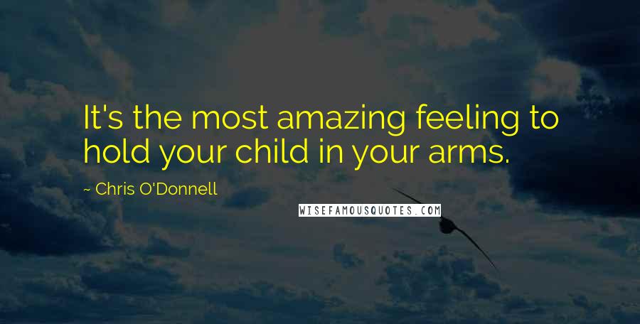 Chris O'Donnell Quotes: It's the most amazing feeling to hold your child in your arms.