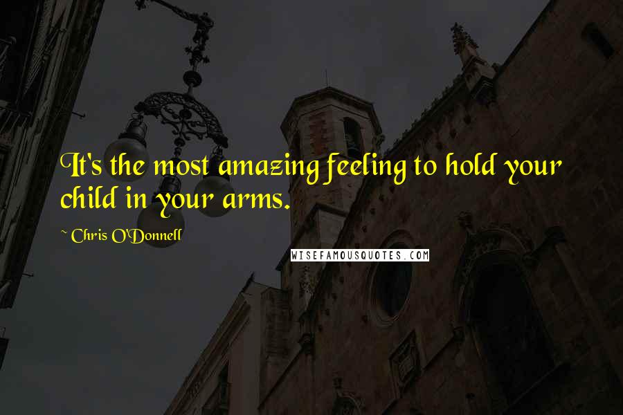 Chris O'Donnell Quotes: It's the most amazing feeling to hold your child in your arms.