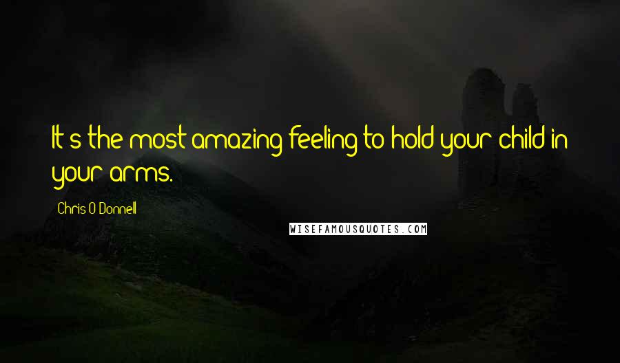 Chris O'Donnell Quotes: It's the most amazing feeling to hold your child in your arms.