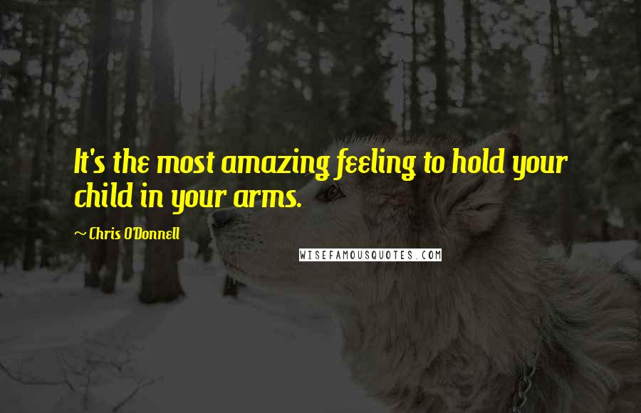 Chris O'Donnell Quotes: It's the most amazing feeling to hold your child in your arms.