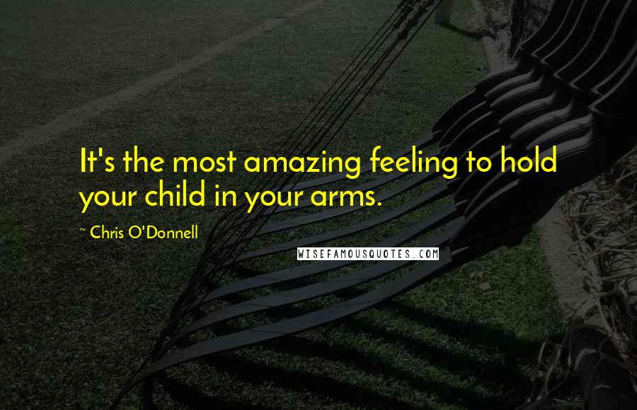 Chris O'Donnell Quotes: It's the most amazing feeling to hold your child in your arms.