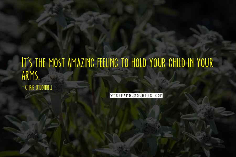 Chris O'Donnell Quotes: It's the most amazing feeling to hold your child in your arms.