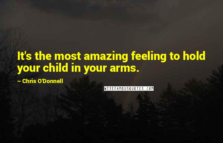 Chris O'Donnell Quotes: It's the most amazing feeling to hold your child in your arms.