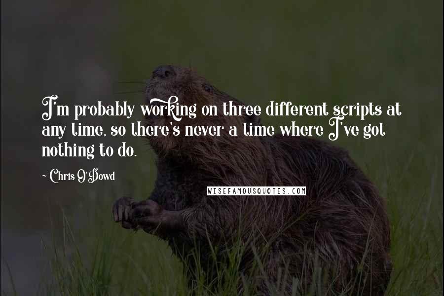 Chris O'Dowd Quotes: I'm probably working on three different scripts at any time, so there's never a time where I've got nothing to do.