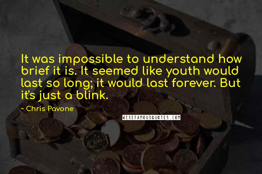 Chris Pavone Quotes: It was impossible to understand how brief it is. It seemed like youth would last so long; it would last forever. But it's just a blink.