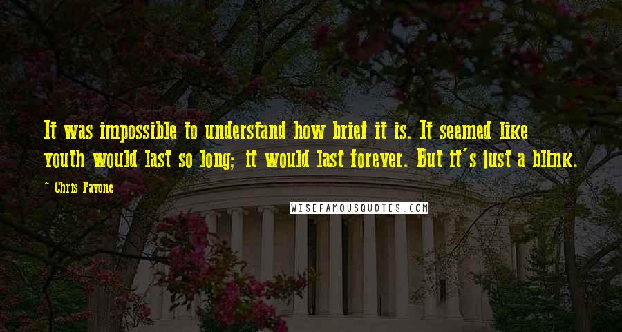 Chris Pavone Quotes: It was impossible to understand how brief it is. It seemed like youth would last so long; it would last forever. But it's just a blink.