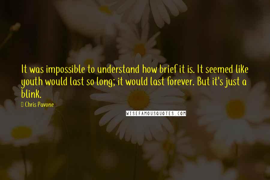 Chris Pavone Quotes: It was impossible to understand how brief it is. It seemed like youth would last so long; it would last forever. But it's just a blink.