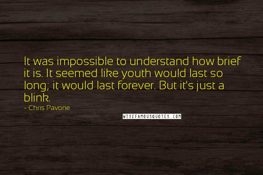 Chris Pavone Quotes: It was impossible to understand how brief it is. It seemed like youth would last so long; it would last forever. But it's just a blink.