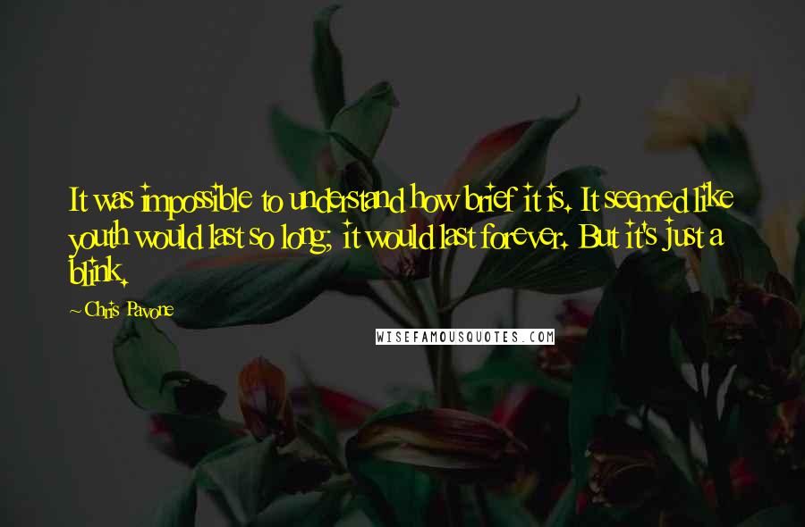 Chris Pavone Quotes: It was impossible to understand how brief it is. It seemed like youth would last so long; it would last forever. But it's just a blink.