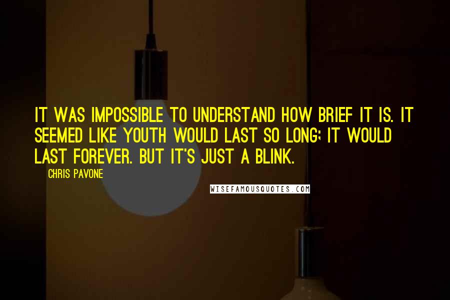 Chris Pavone Quotes: It was impossible to understand how brief it is. It seemed like youth would last so long; it would last forever. But it's just a blink.