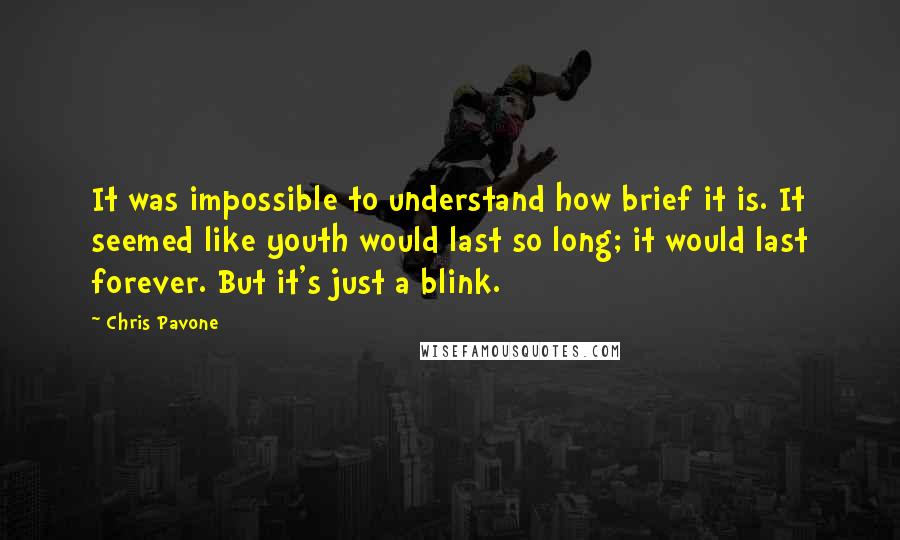 Chris Pavone Quotes: It was impossible to understand how brief it is. It seemed like youth would last so long; it would last forever. But it's just a blink.