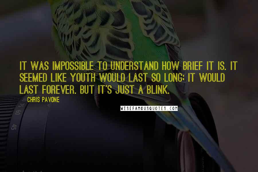 Chris Pavone Quotes: It was impossible to understand how brief it is. It seemed like youth would last so long; it would last forever. But it's just a blink.