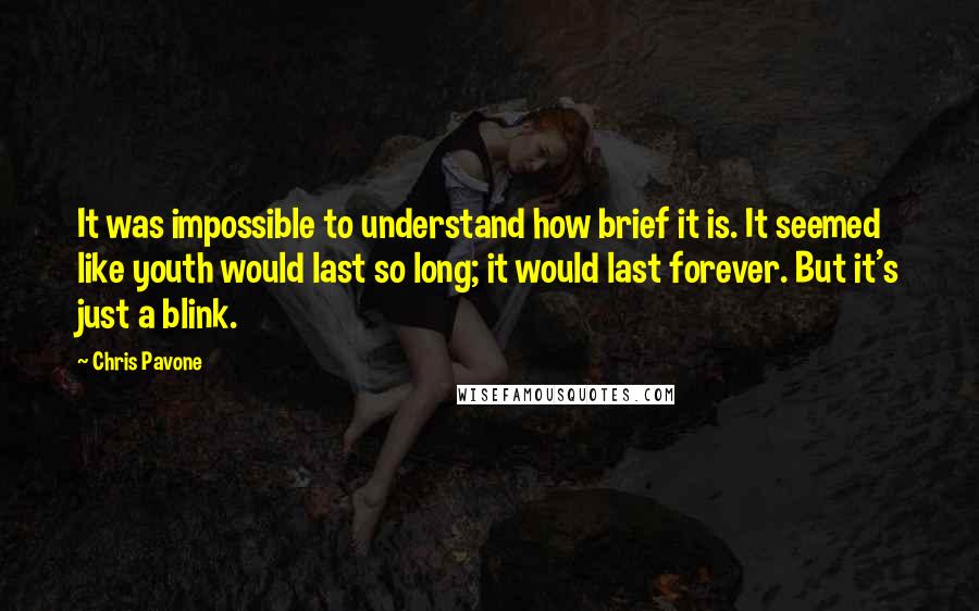 Chris Pavone Quotes: It was impossible to understand how brief it is. It seemed like youth would last so long; it would last forever. But it's just a blink.