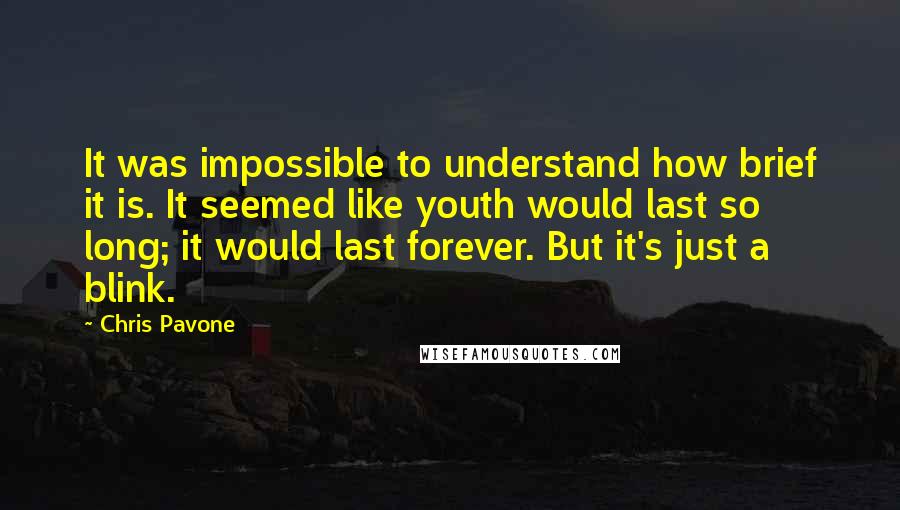 Chris Pavone Quotes: It was impossible to understand how brief it is. It seemed like youth would last so long; it would last forever. But it's just a blink.