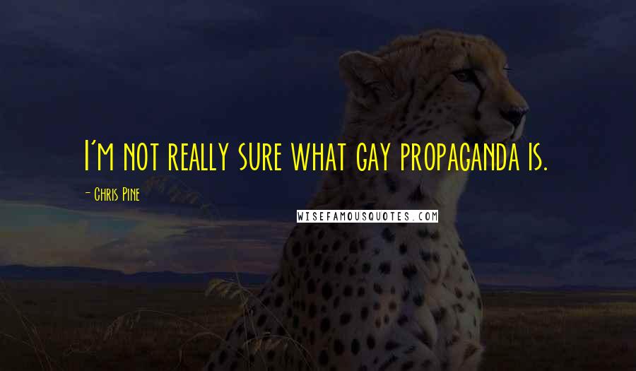 Chris Pine Quotes: I'm not really sure what gay propaganda is.