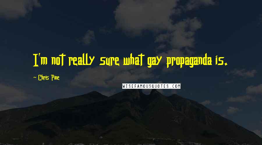 Chris Pine Quotes: I'm not really sure what gay propaganda is.