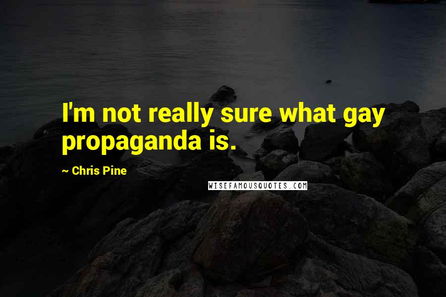 Chris Pine Quotes: I'm not really sure what gay propaganda is.