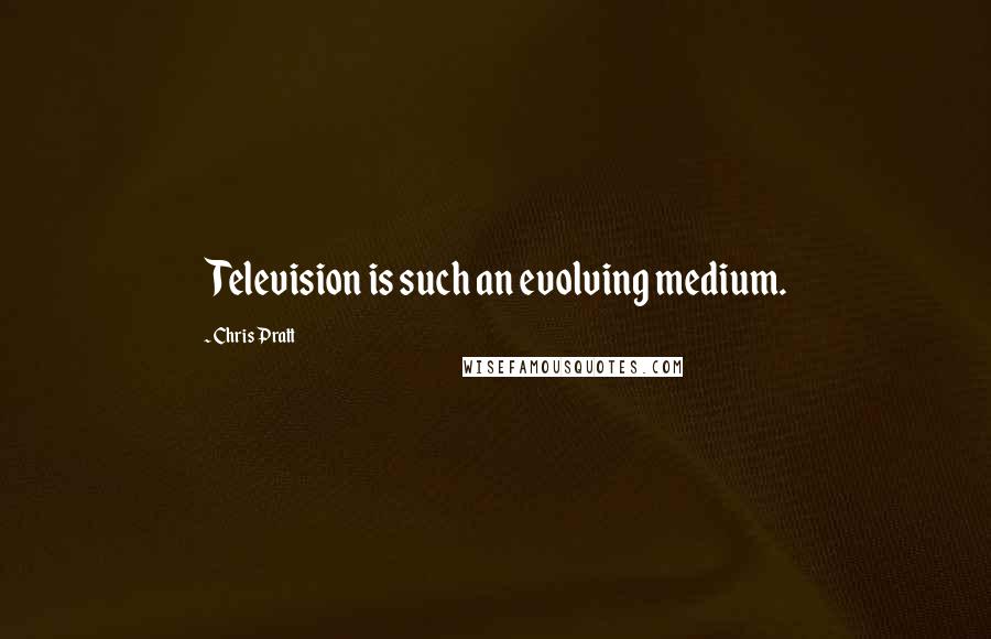 Chris Pratt Quotes: Television is such an evolving medium.