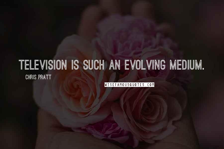 Chris Pratt Quotes: Television is such an evolving medium.