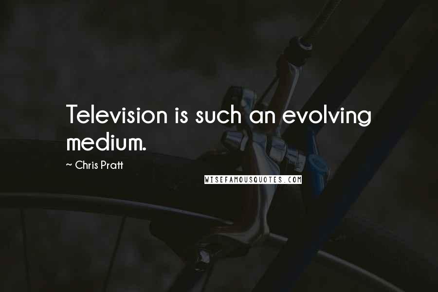 Chris Pratt Quotes: Television is such an evolving medium.