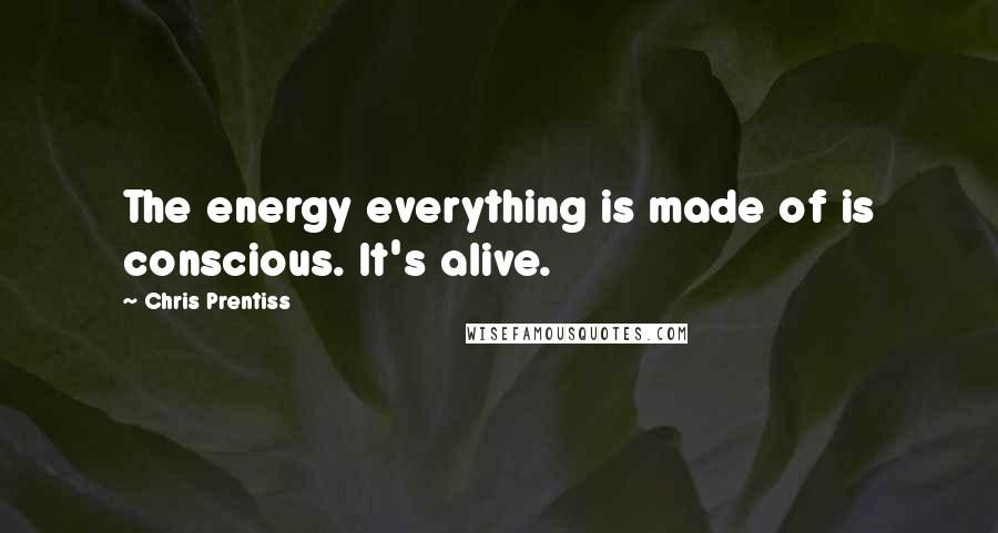 Chris Prentiss Quotes: The energy everything is made of is conscious. It's alive.