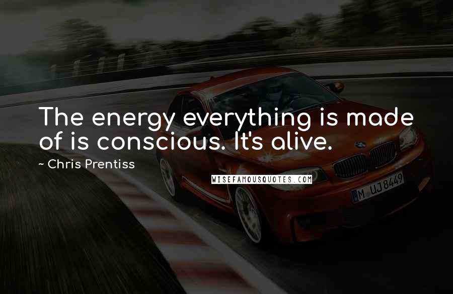 Chris Prentiss Quotes: The energy everything is made of is conscious. It's alive.