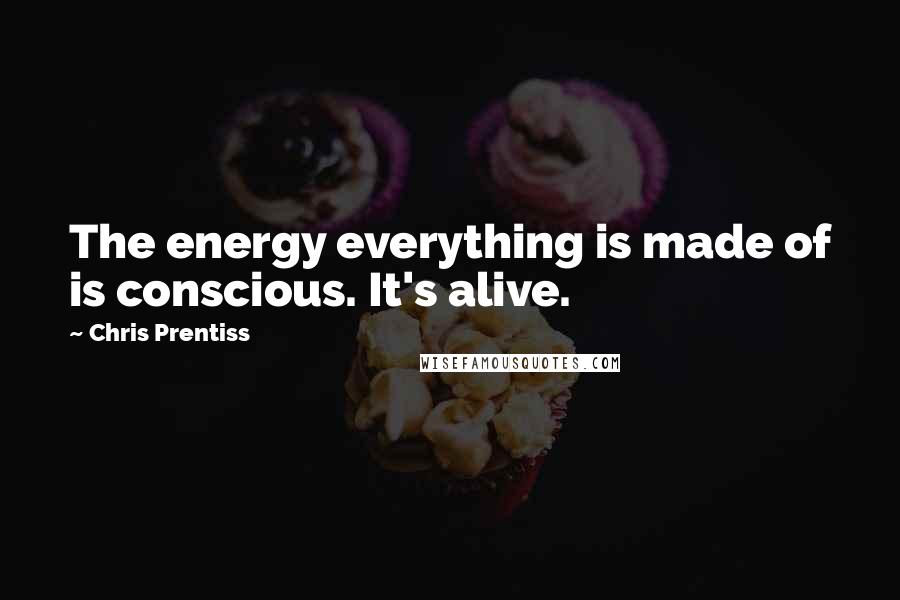 Chris Prentiss Quotes: The energy everything is made of is conscious. It's alive.
