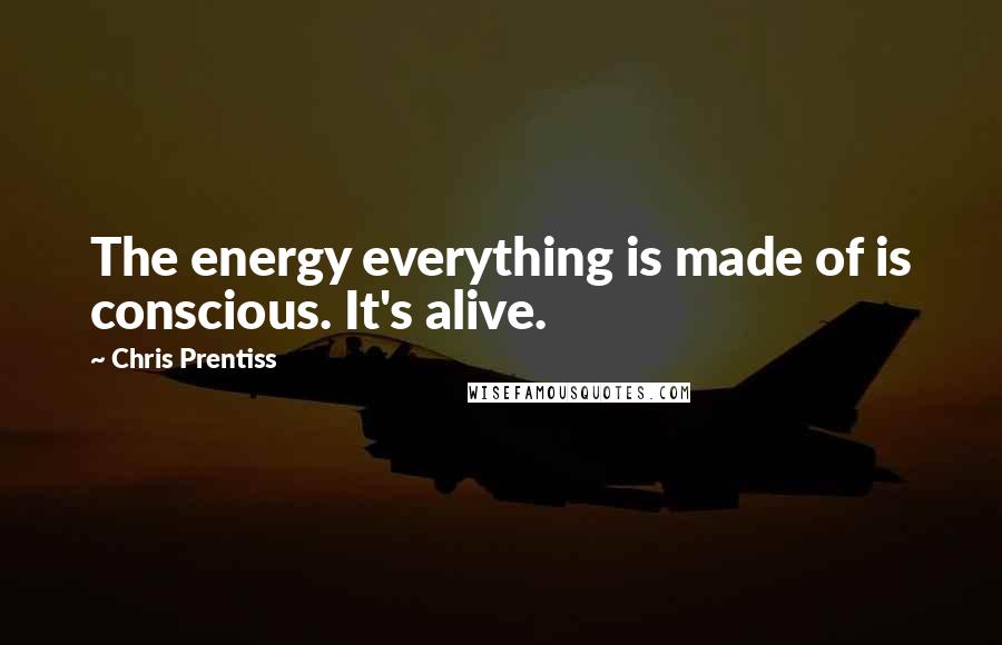 Chris Prentiss Quotes: The energy everything is made of is conscious. It's alive.