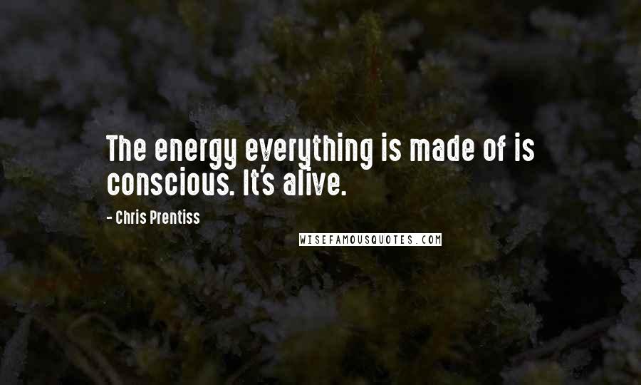 Chris Prentiss Quotes: The energy everything is made of is conscious. It's alive.