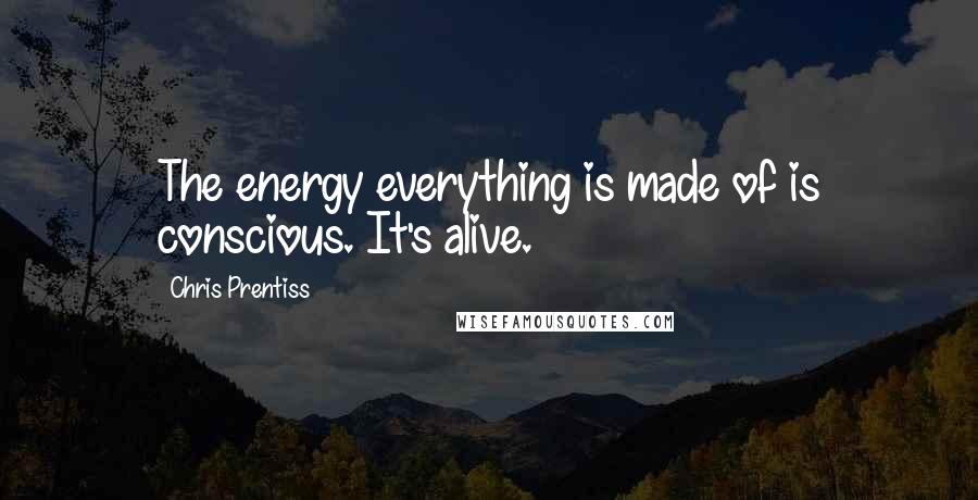 Chris Prentiss Quotes: The energy everything is made of is conscious. It's alive.