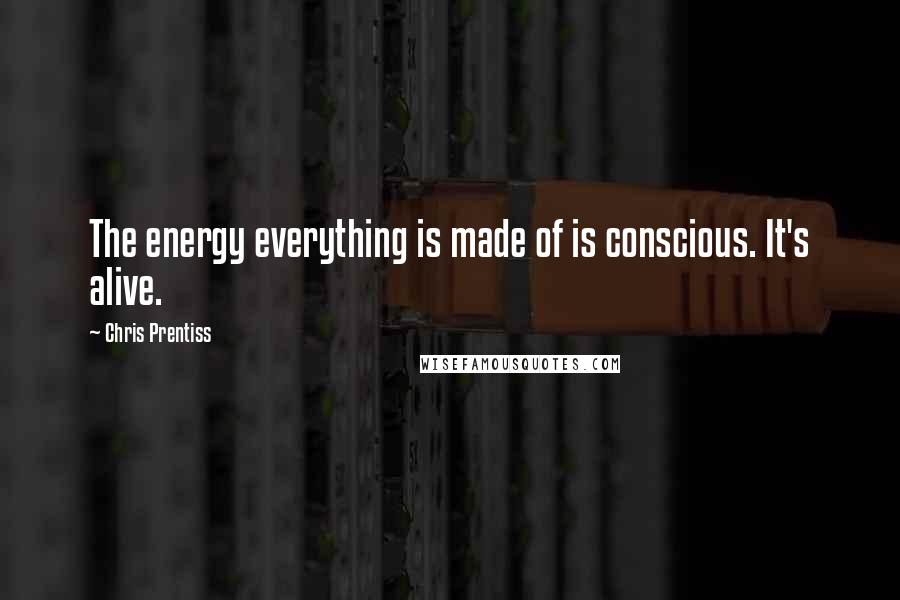 Chris Prentiss Quotes: The energy everything is made of is conscious. It's alive.