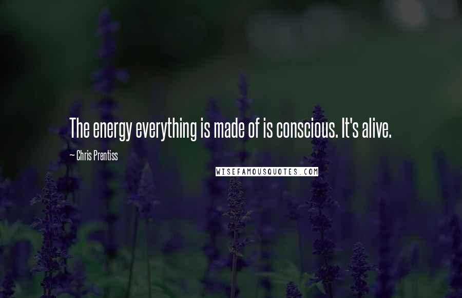Chris Prentiss Quotes: The energy everything is made of is conscious. It's alive.
