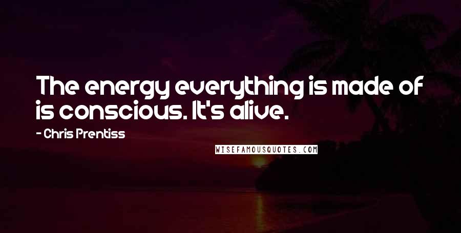Chris Prentiss Quotes: The energy everything is made of is conscious. It's alive.