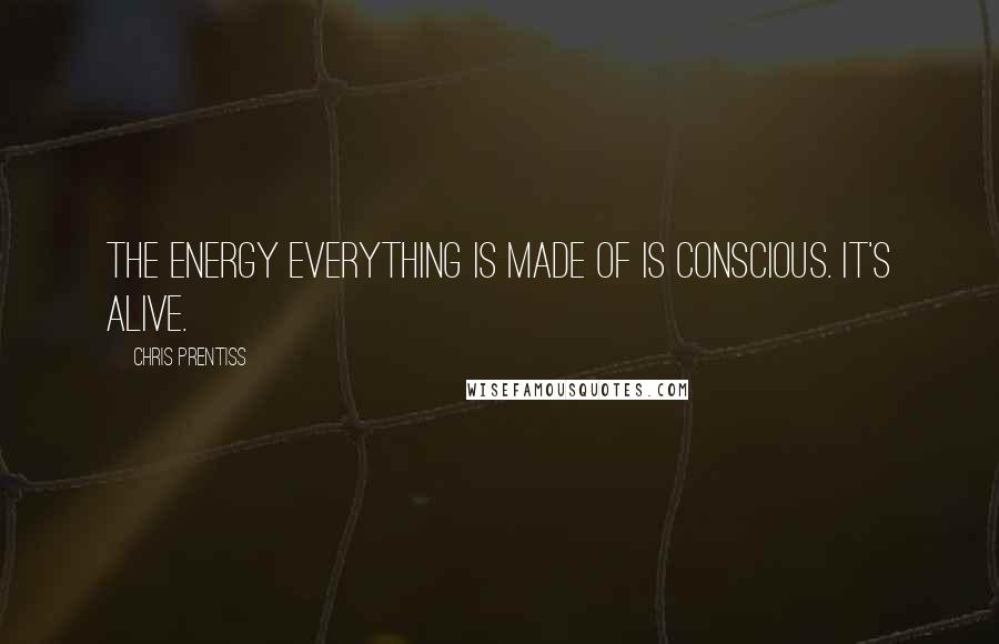 Chris Prentiss Quotes: The energy everything is made of is conscious. It's alive.