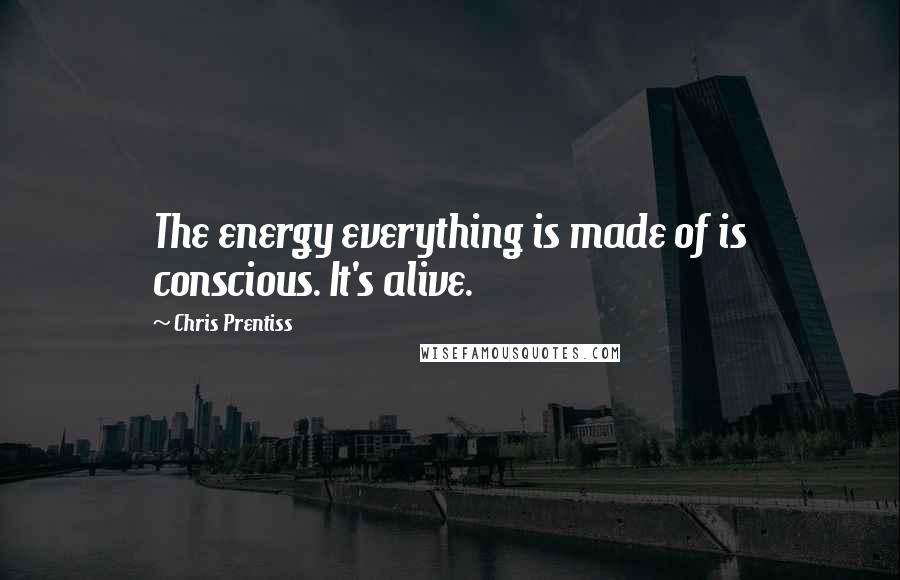 Chris Prentiss Quotes: The energy everything is made of is conscious. It's alive.