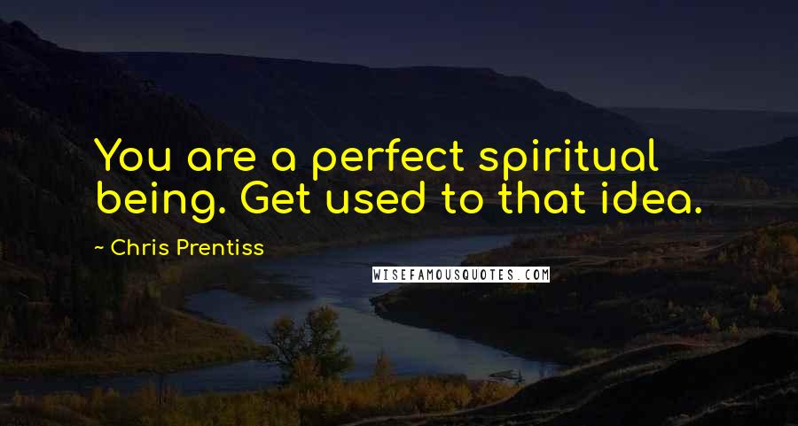 Chris Prentiss Quotes: You are a perfect spiritual being. Get used to that idea.