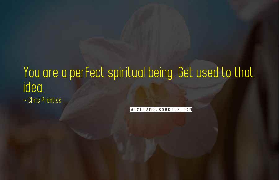 Chris Prentiss Quotes: You are a perfect spiritual being. Get used to that idea.